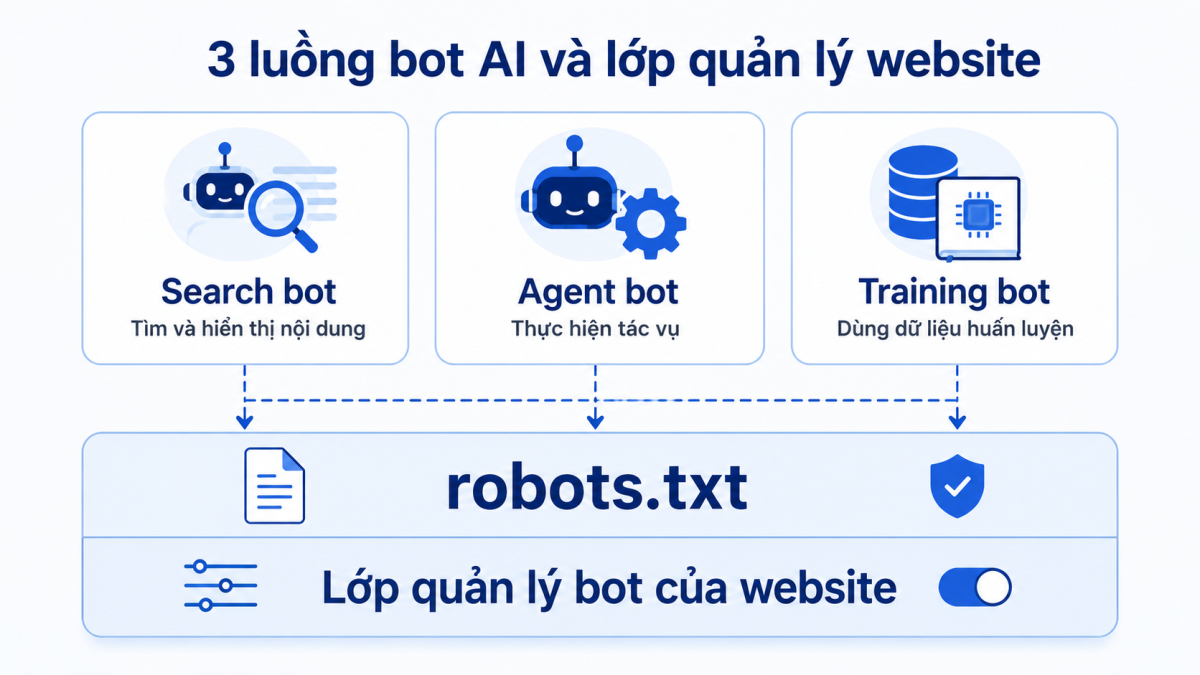 AI bot được chia thành Search, Agent và Training để website kiểm soát quyền truy cập phù hợp.